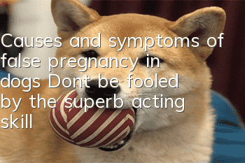 Causes and symptoms of false pregnancy in dogs Don’t be fooled by the superb acting skills of dogs