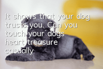 It shows that your dog trusts you. Can you touch your dog’s “heart treasure” casually?