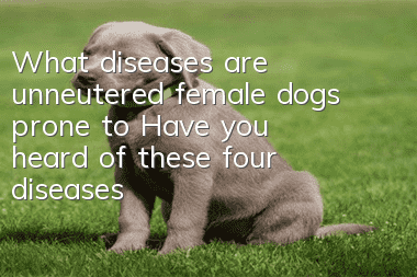 What diseases are unneutered female dogs prone to? Have you heard of these four diseases?
