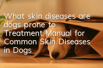 What skin diseases are dogs prone to? Treatment Manual for Common Skin Diseases in Dogs