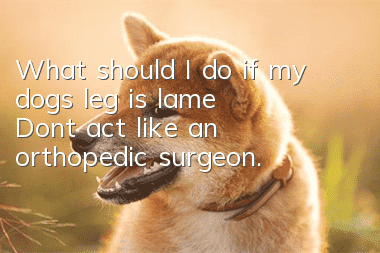 What should I do if my dog’s leg is lame? Don’t act like an orthopedic surgeon.