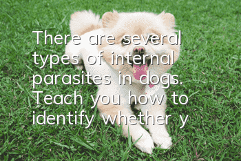 There are several types of internal parasites in dogs. Teach you how to identify whether your dog is infected with parasites.
