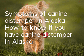 Symptoms of canine distemper in Alaska How to know if you have canine distemper in Alaska