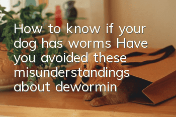 How to know if your dog has worms? Have you avoided these misunderstandings about deworming?