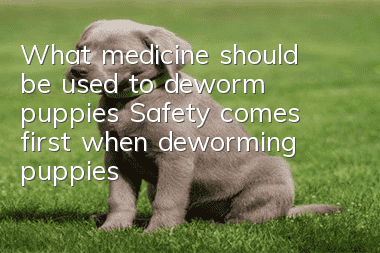 What medicine should be used to deworm puppies? Safety comes first when deworming puppies