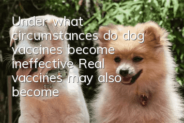 Under what circumstances do dog vaccines become ineffective? Real vaccines may also become ineffective!