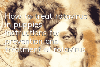 How to treat rotavirus in puppies? Instructions for prevention and treatment of rotavirus