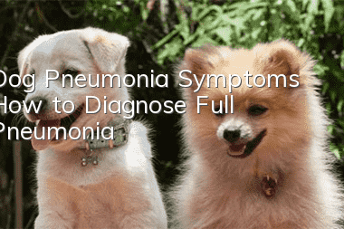 Dog Pneumonia Symptoms How to Diagnose Full Pneumonia