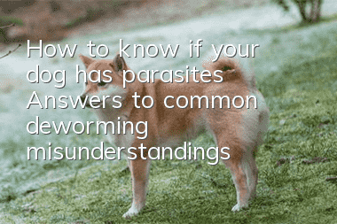 How to know if your dog has parasites? Answers to common deworming misunderstandings
