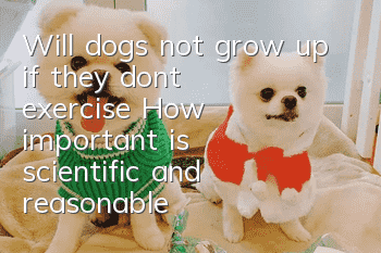 Will dogs not grow up if they don’t exercise? How important is scientific and reasonable exercise?