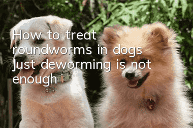 How to treat roundworms in dogs? Just deworming is not enough