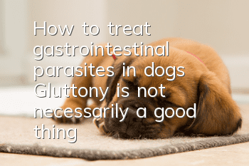 How to treat gastrointestinal parasites in dogs? Gluttony is not necessarily a good thing