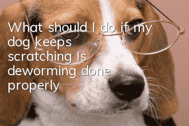 What should I do if my dog keeps scratching? Is deworming done properly?