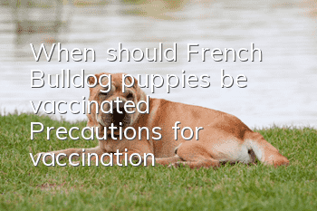 When should French Bulldog puppies be vaccinated? Precautions for vaccination