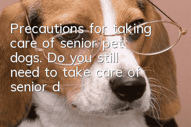 Precautions for taking care of senior pet dogs. Do you still need to take care of senior dogs in the same way?