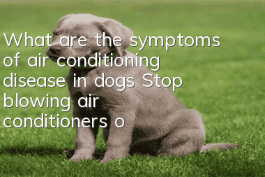 What are the symptoms of air conditioning disease in dogs? Stop blowing air conditioners on your dogs!