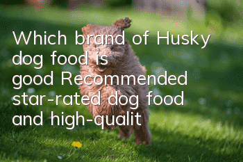 Which brand of Husky dog food is good? Recommended star-rated dog food and high-quality dog food