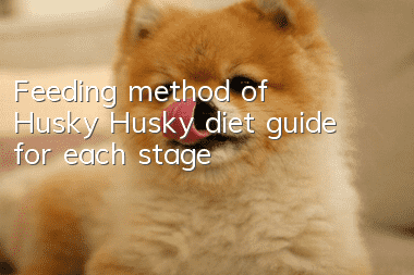 Feeding method of Husky Husky diet guide for each stage