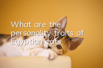 What are the personality traits of Egyptian cats?