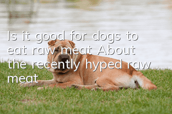 Is it good for dogs to eat raw meat? About the recently hyped raw meat