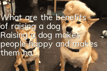 What are the benefits of raising a dog? Raising a dog makes people happy and makes them happy