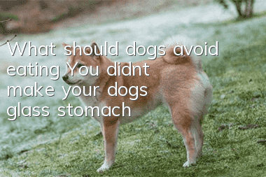 What should dogs avoid eating? You didn’t make your dog’s glass stomach