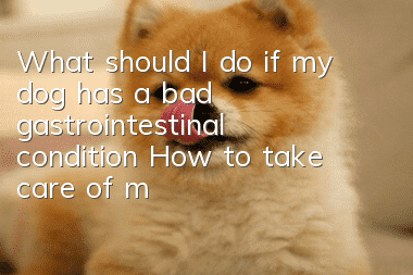 What should I do if my dog has a bad gastrointestinal condition? How to take care of my dog’s glass stomach?