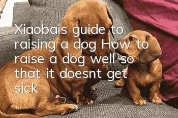 Xiaobai’s guide to raising a dog How to raise a dog well so that it doesn’t get sick