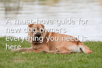 A must-have guide for new dog owners, everything you need is here