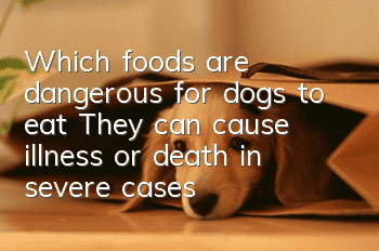 Which foods are dangerous for dogs to eat? They can cause illness or death in severe cases.