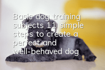 Basic dog training subjects: 11 simple steps to create a perfect and well-behaved dog