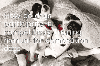 How do dogs participate in competitions? Training manual for competition dogs