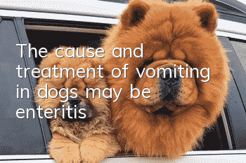 The cause and treatment of vomiting in dogs may be enteritis