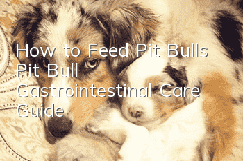 How to Feed Pit Bulls Pit Bull Gastrointestinal Care Guide