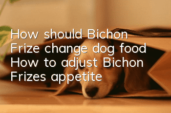 How should Bichon Frize change dog food? How to adjust Bichon Frize's appetite