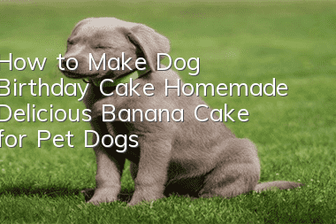 How to Make Dog Birthday Cake Homemade Delicious Banana Cake for Pet Dogs