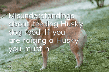 Misunderstandings about feeding Husky dog food. If you are raising a Husky, you must not make any mistakes.