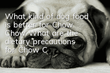 What kind of dog food is better for Chow Chow? What are the dietary precautions for Chow Chow?