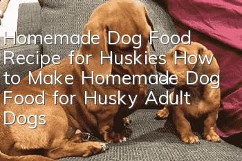 Homemade Dog Food Recipe for Huskies How to Make Homemade Dog Food for Husky Adult Dogs