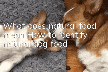 What does natural food mean? How to identify natural dog food?