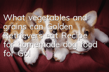 What vegetables and grains can Golden Retrievers eat? Recipe for homemade dog food for Golden Retrievers