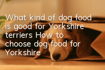 What kind of dog food is good for Yorkshire terriers? How to choose dog food for Yorkshire terriers?