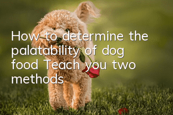 How to determine the palatability of dog food? Teach you two methods