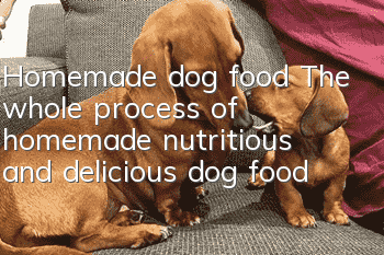 Homemade dog food The whole process of homemade nutritious and delicious dog food