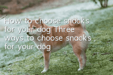 How to choose snacks for your dog Three ways to choose snacks for your dog