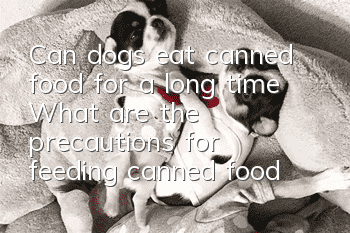 Can dogs eat canned food for a long time? What are the precautions for feeding canned food to dogs?