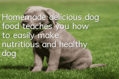 Homemade delicious dog food teaches you how to easily make nutritious and healthy dog food