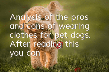 Analysis of the pros and cons of wearing clothes for pet dogs. After reading this, you can choose whether to wear clothes for your pet.