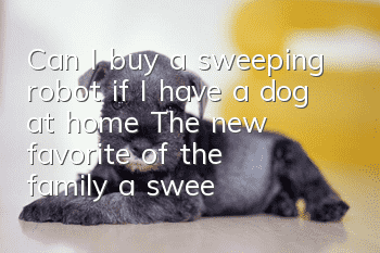Can I buy a sweeping robot if I have a dog at home? The new favorite of the family: a sweeping robot