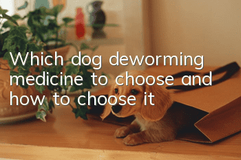 Which dog deworming medicine to choose and how to choose it